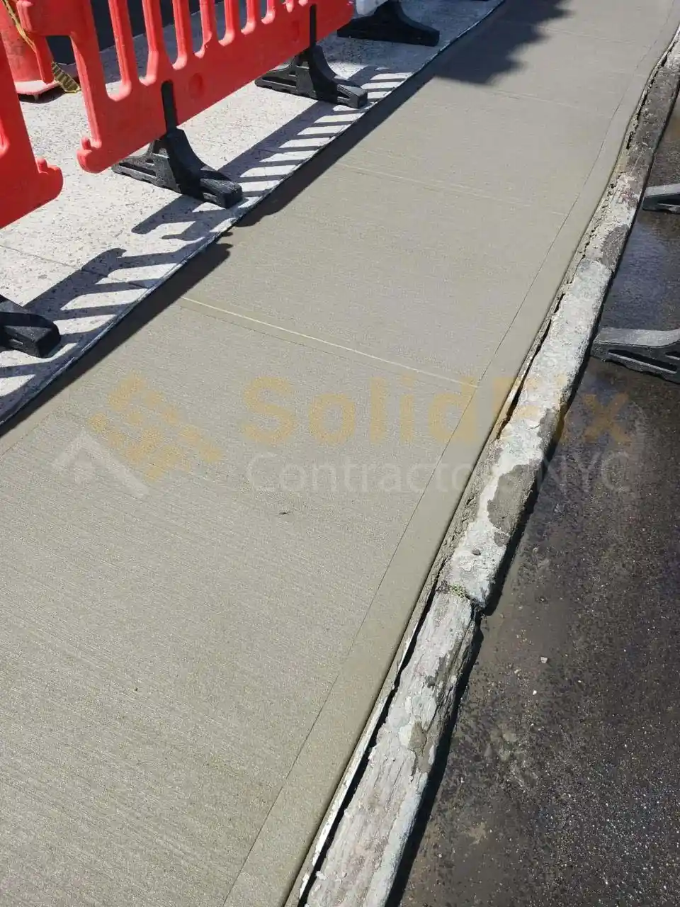 How Tree Roots Damage Sidewalks in nyc