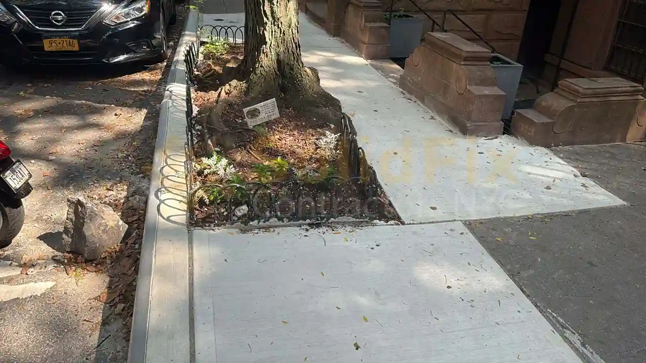 Scenic urban patio with concrete pavement, benches, and a flower bed, overlooking the New York City skyline.